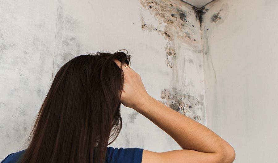 Una mujer encuentra moho negro en la esquina del techo.